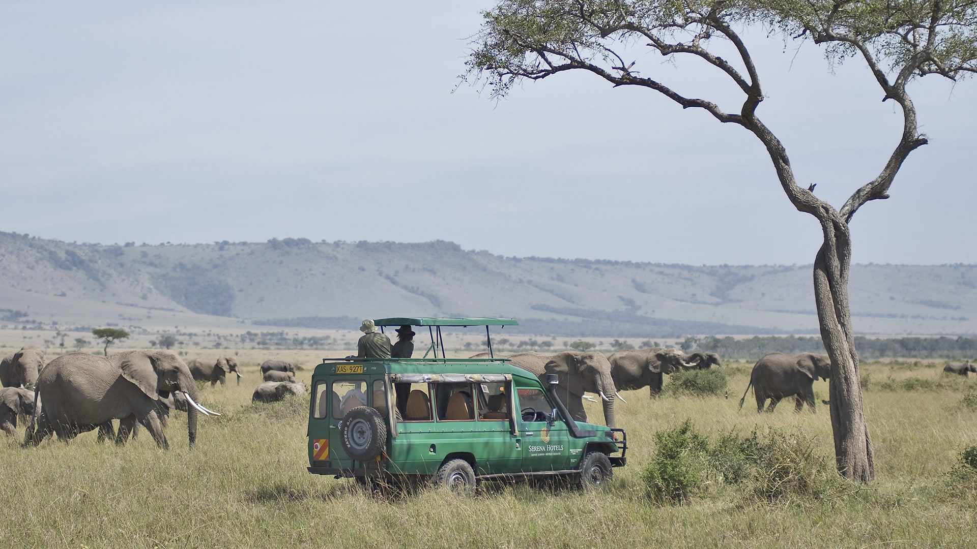 mara serena safari lodge