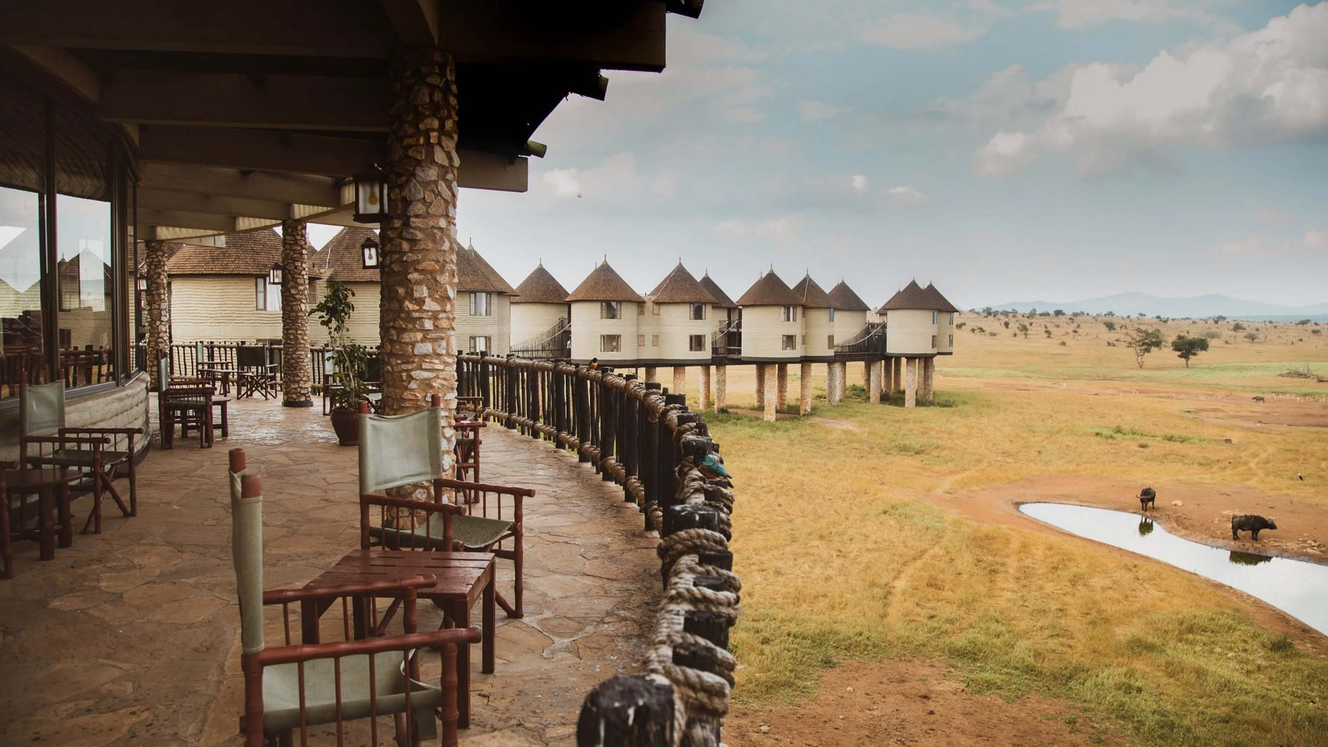 Salt Lick Safari Lodge Salt Lick Safari Lodge
