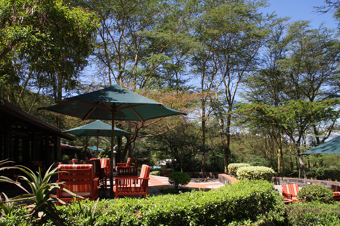 sarova lion hill lodge sarova lion hill lodge
