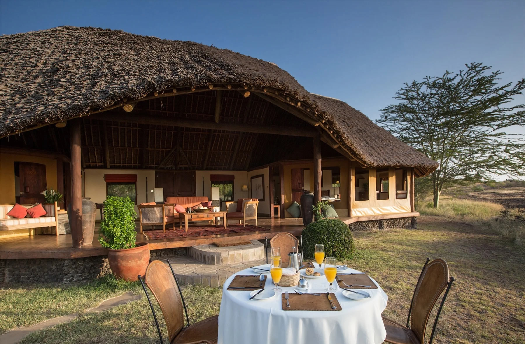 tortilis safari camp