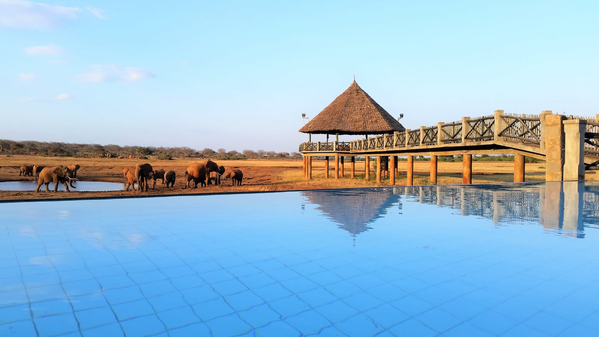 Voi Wildlife Lodge