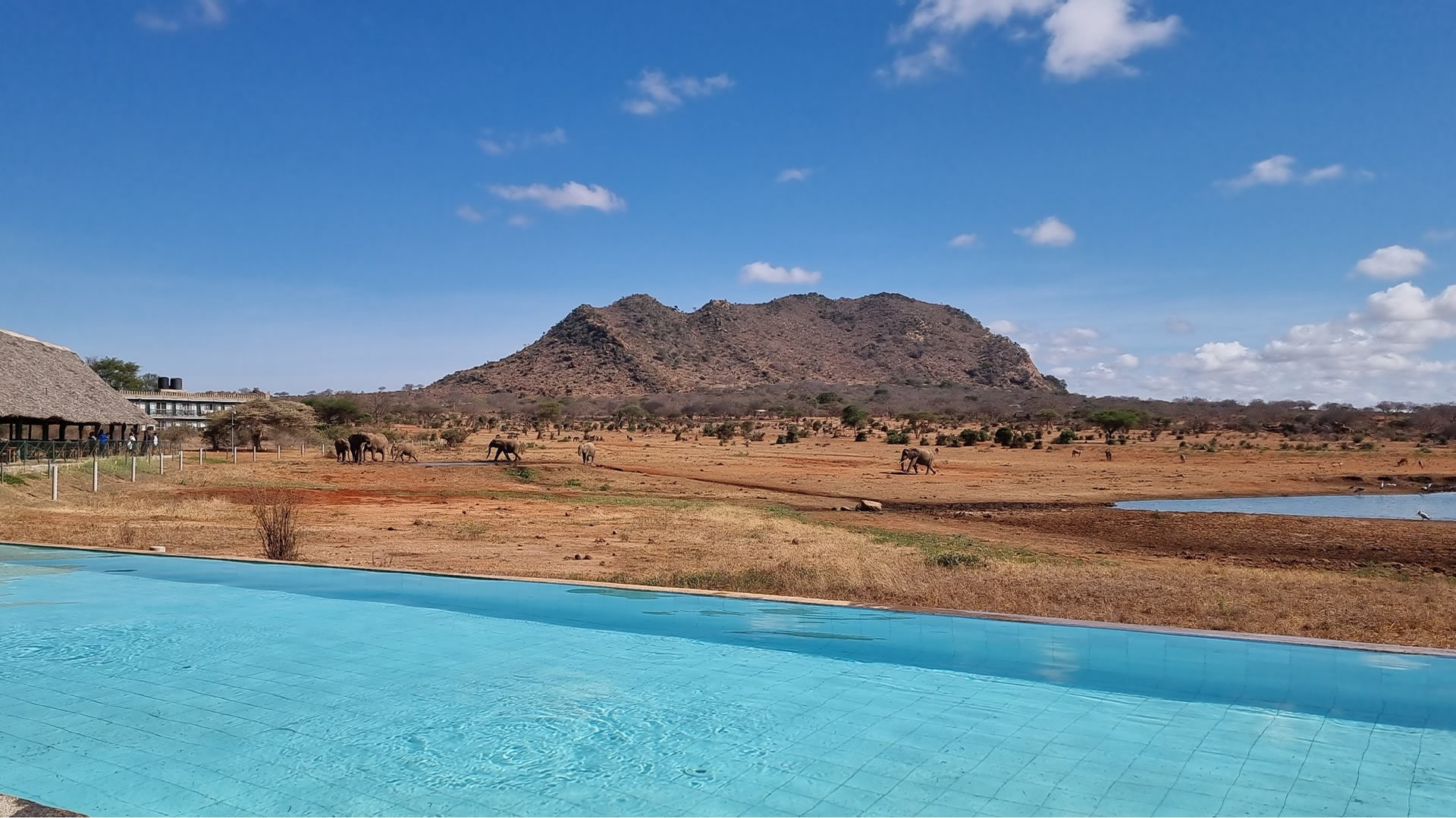 Voi Wildlife Lodge