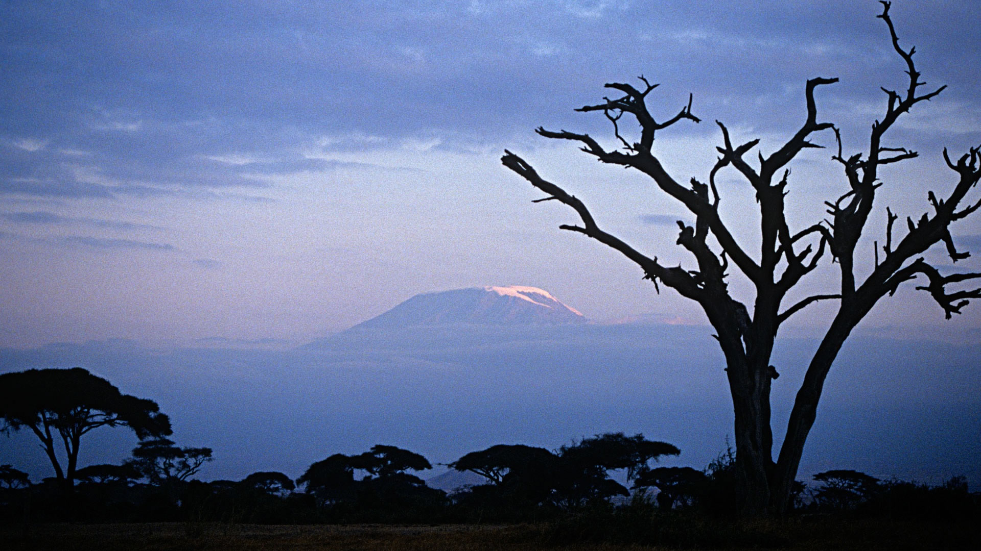 amboseli national park