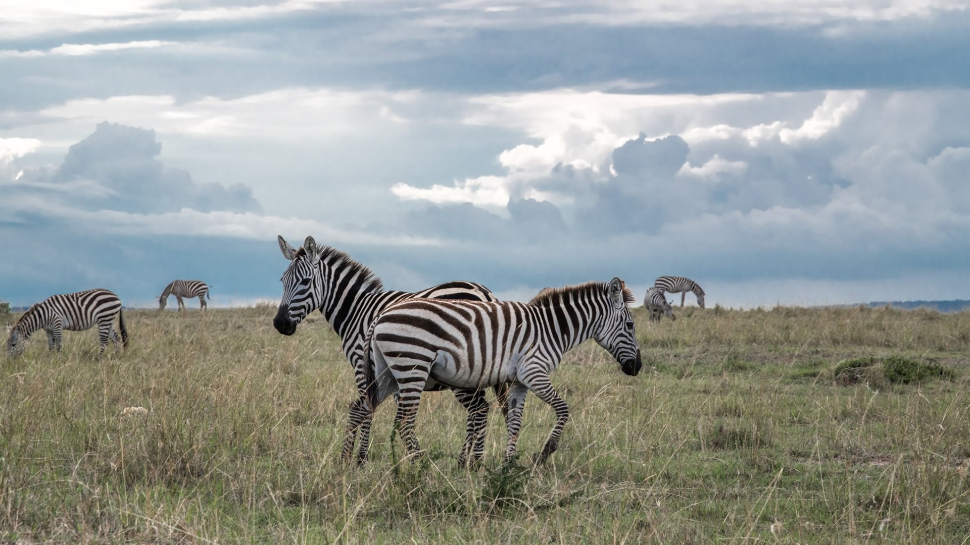 amboseli national park