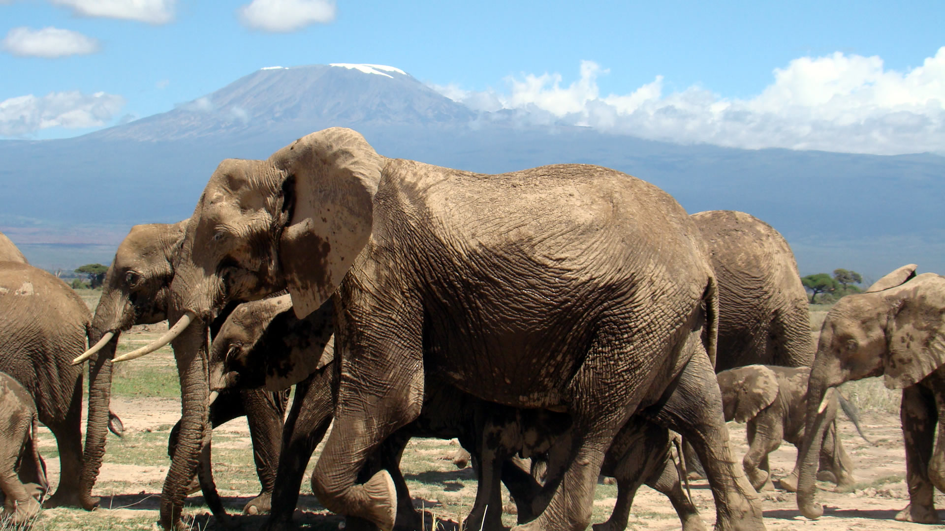 amboseli national park