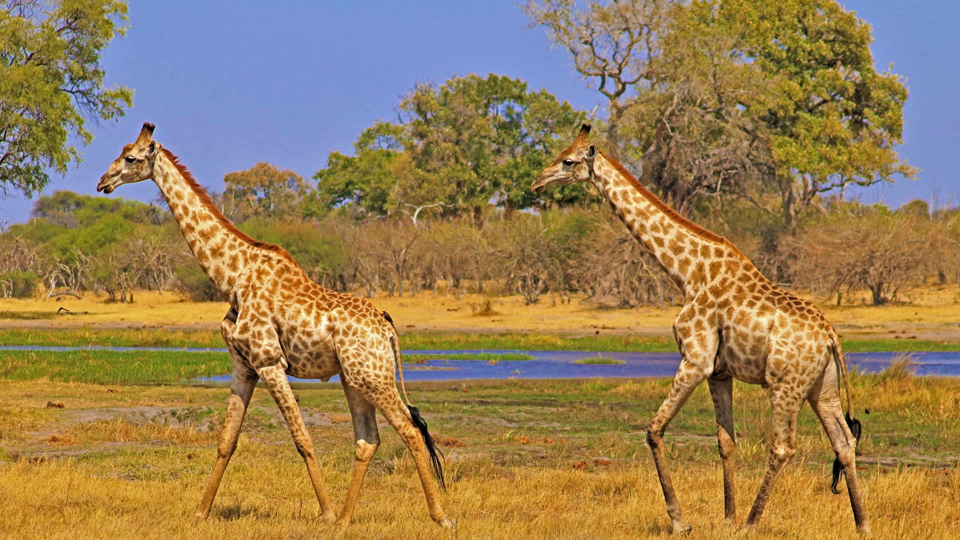 nyerere national park