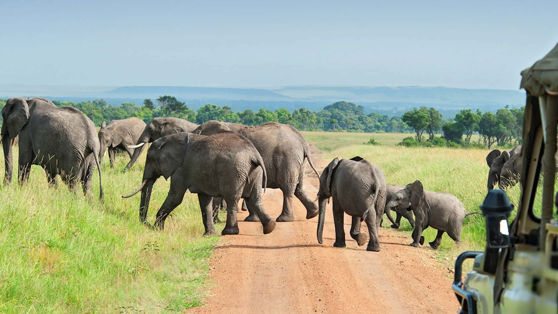 nyerere national park