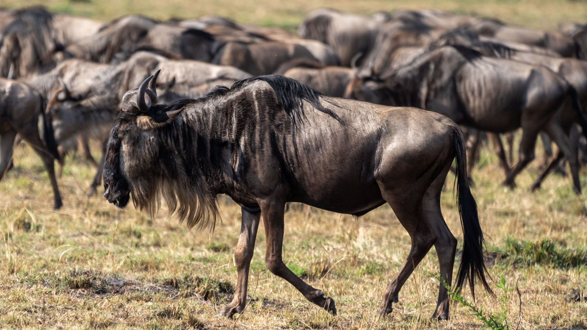 top destinations Tanzania