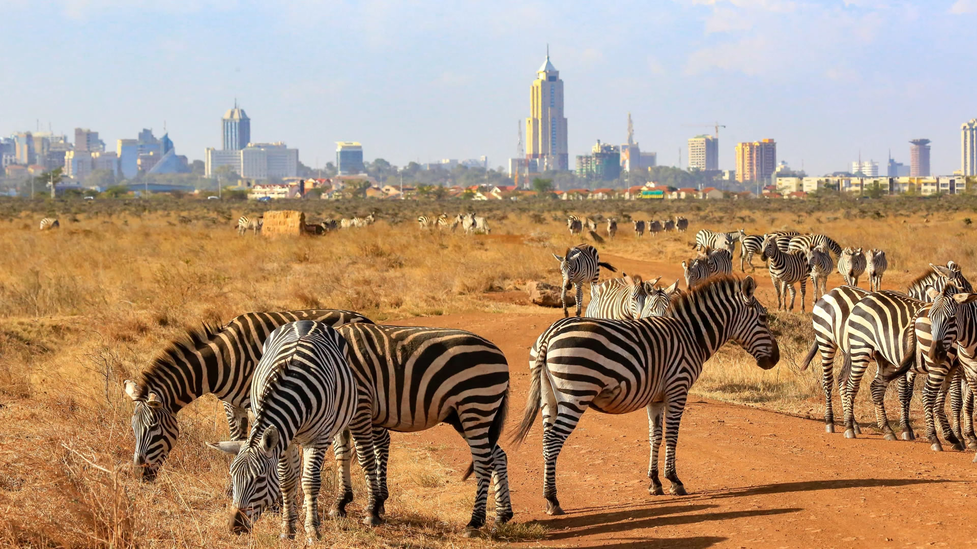 nairobi national park, david shedricks & giraffe center