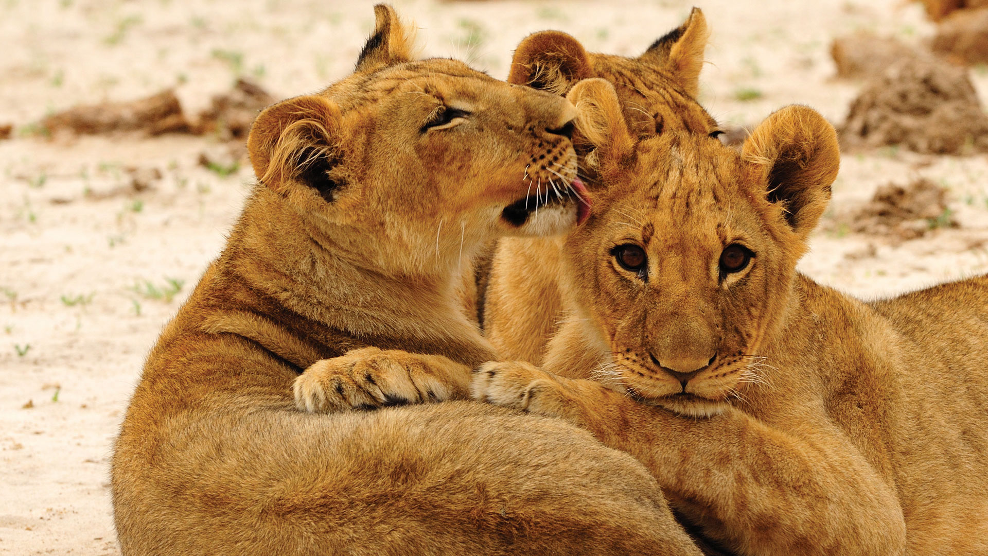 Hangwe National Park