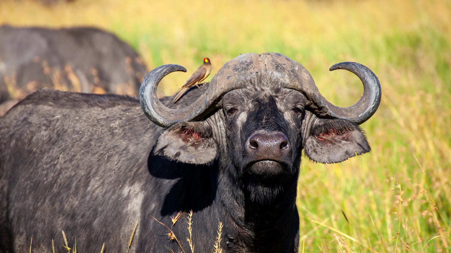 kenya top destinations