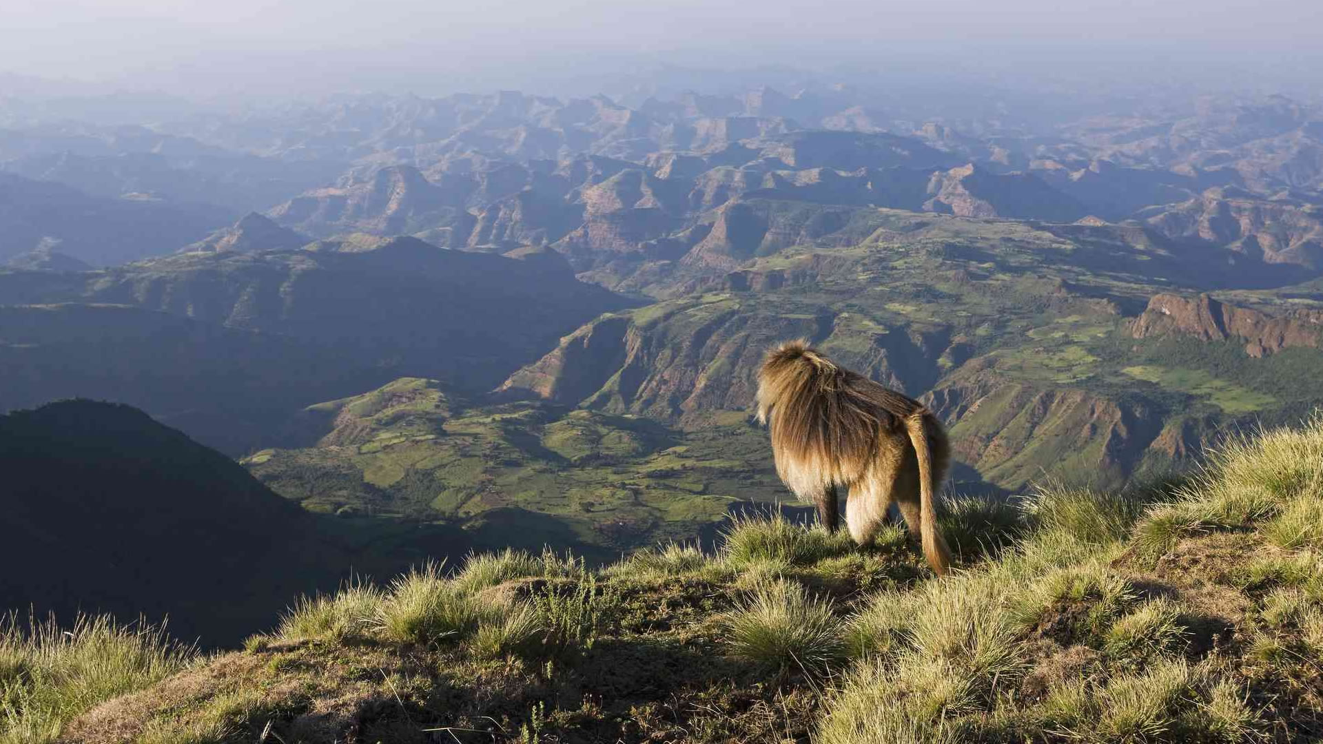 Simien Mountains National Park