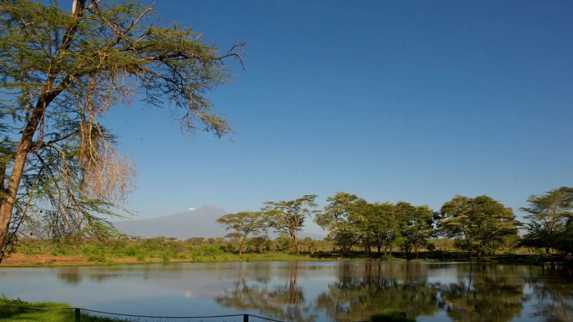 3 Days Tsavo East & Salt Lick 3 Days Tsavo East & Salt Lick