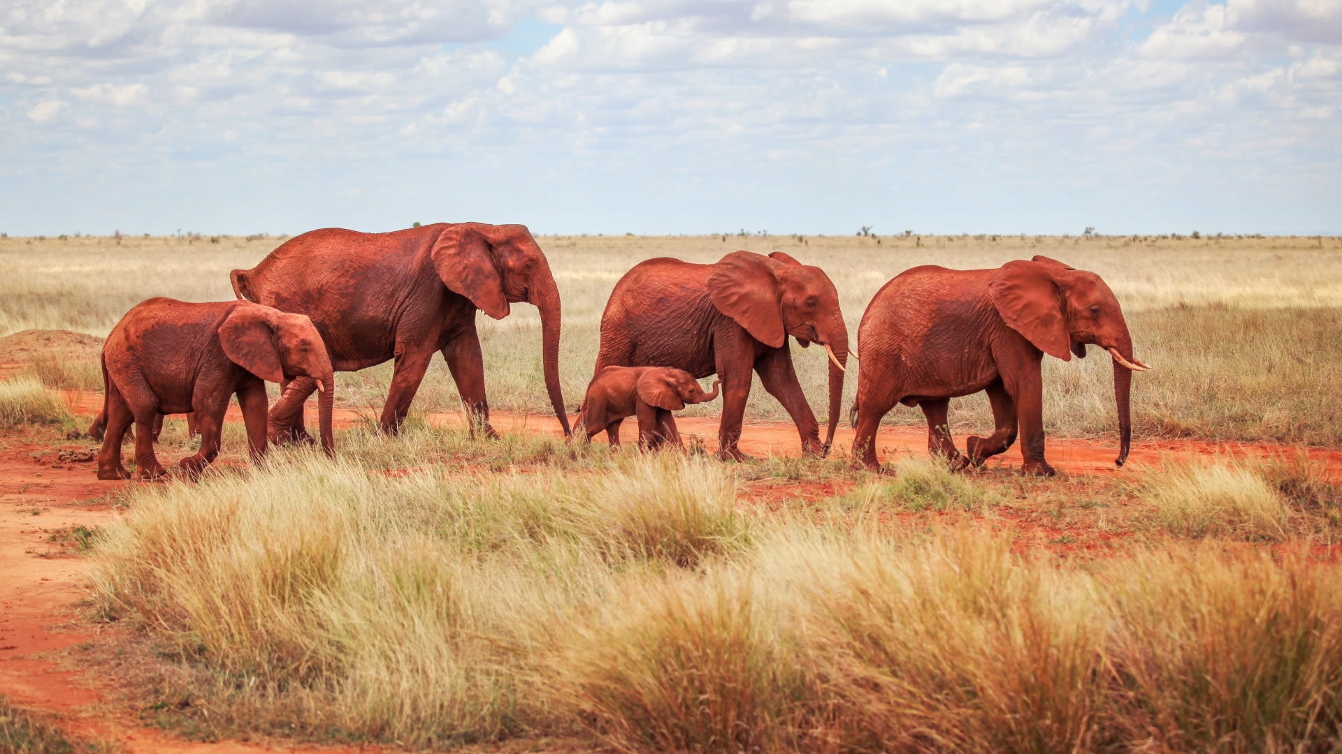 4 Days Amboseli, Taita Hills Experience 4 Days Amboseli, Taita Hills Experience
