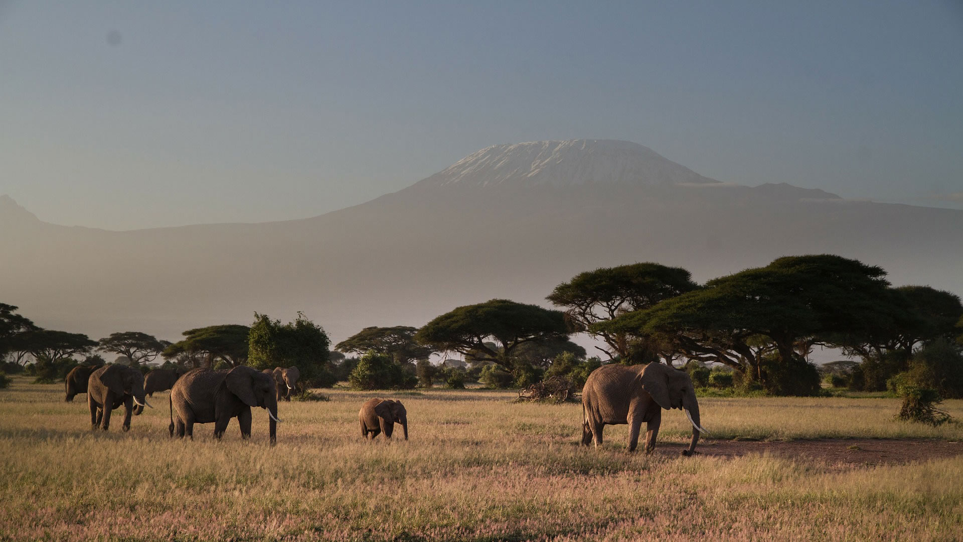 8 days wildlife trails 8 days wildlife trails